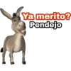 Ya merito? (Burro de Shrek) 5