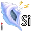 Caracola Mágica 5