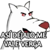 PERRO BLANKO 6