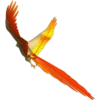 Periquitos (aves) 5