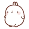 Molang 1 5