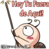 Hey Tu Fuera
de Aqui!
GRILLOWdi