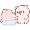 The life of a little pig 7