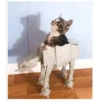 Gatitos haciendo cosas 5