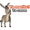 Ya merito? (Burro de Shrek) 6