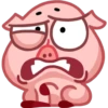 Pig 6