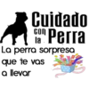 Cuidado con el perro 8