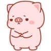 The life of a little pig 8