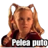 @raffadilaz
Pelea puto