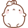 Molang 1 7