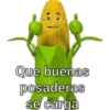 Mazorcas groseras 5