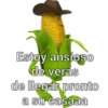 Mazorcas groseras 6