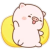 The life of a little pig 9