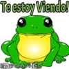 Te estoy Viendo!
TSGRILLOWA