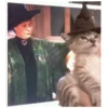 Gatitos haciendo cosas 9