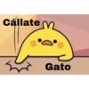 Cállate M
Gato