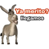 Ya merito? (Burro de Shrek) 8
