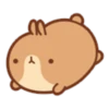 Molang 1 9
