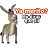 Ya merito? (Burro de Shrek) 9