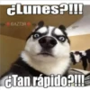 MeMes PaRa GruPos 9