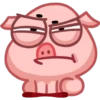 Pig 7