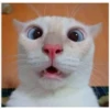 memesrandomig 7