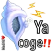 Caracola Mágica 9
