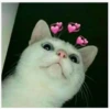 memesrandomig 8