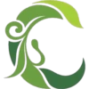Letras de plantas 7