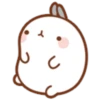 Molang 1 14