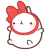 Molang 1 15