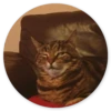 Gatos loucos 5