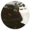 Gatos loucos 7
