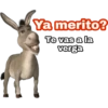 Ya merito? (Burro de Shrek) 14
