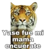 Yase fue mi
mama
encuerate