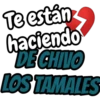 Frases Coloquiales 8