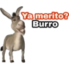 Ya merito? (Burro de Shrek) 15
