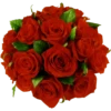 Rosas 9