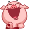 Pig 8