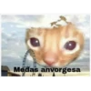 Medas anvorgesa
