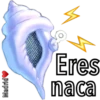 Caracola Mágica 13