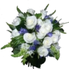 Rosas 11