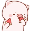 The life of a little pig 14
