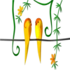 Periquitos (aves) 10