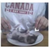 CANADA
EST. 1867 |