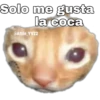 Solo me gusta la coca