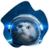 Космические Коты 11