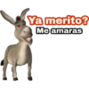 Ya merito? (Burro de Shrek) 16