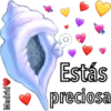 Caracola Mágica 14