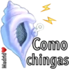 Caracola Mágica 15